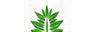 FreshLeaf Nurseries Logo